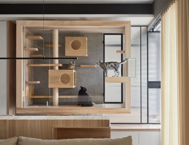 Glass Cat House